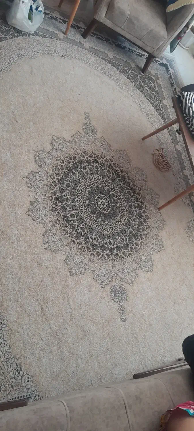دوجفت فرش ۹ متری|فرش|ری, بی‌بی شهر بانو|دیوار