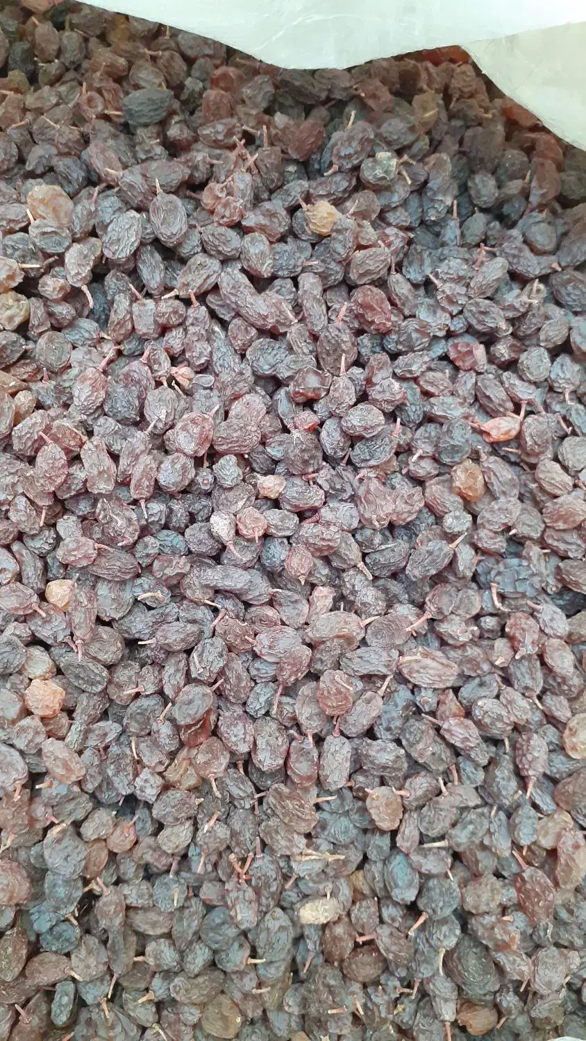 کشمش خوشمزه و گوشتی|خوردنی و آشامیدنی|خرمدره, |دیوار