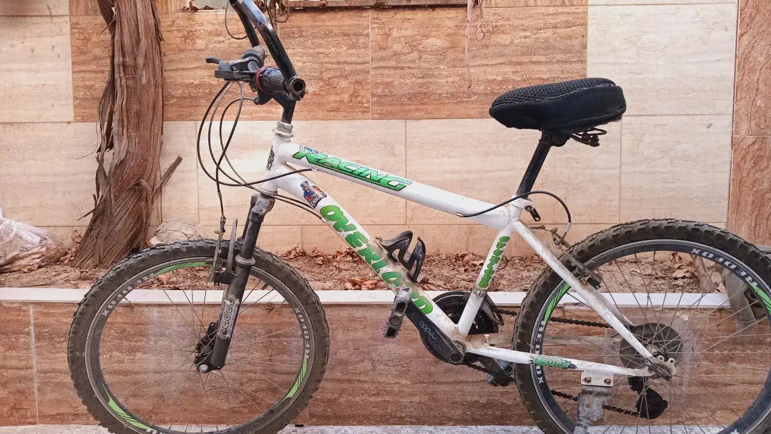 دوچرخه فروشی|دوچرخه، اسکیت، اسکوتر|گنبد کاووس, |دیوار