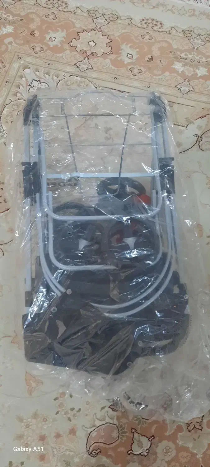 کالسکه دلیجان|کالسکه و لوازم جانبی|چهارباغ, |دیوار