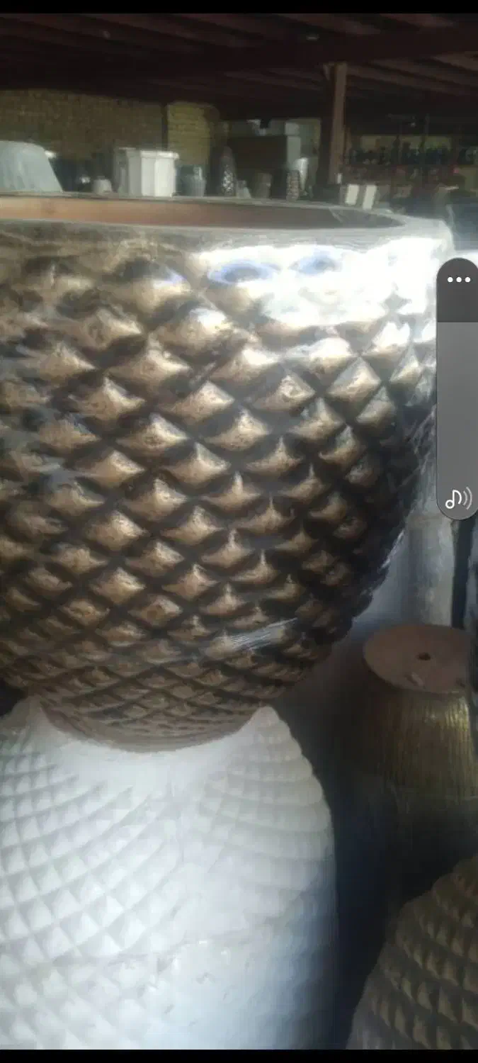 گل وگیاه اپارتمانی وباغچه|گل و گیاه طبیعی|شوش, |دیوار