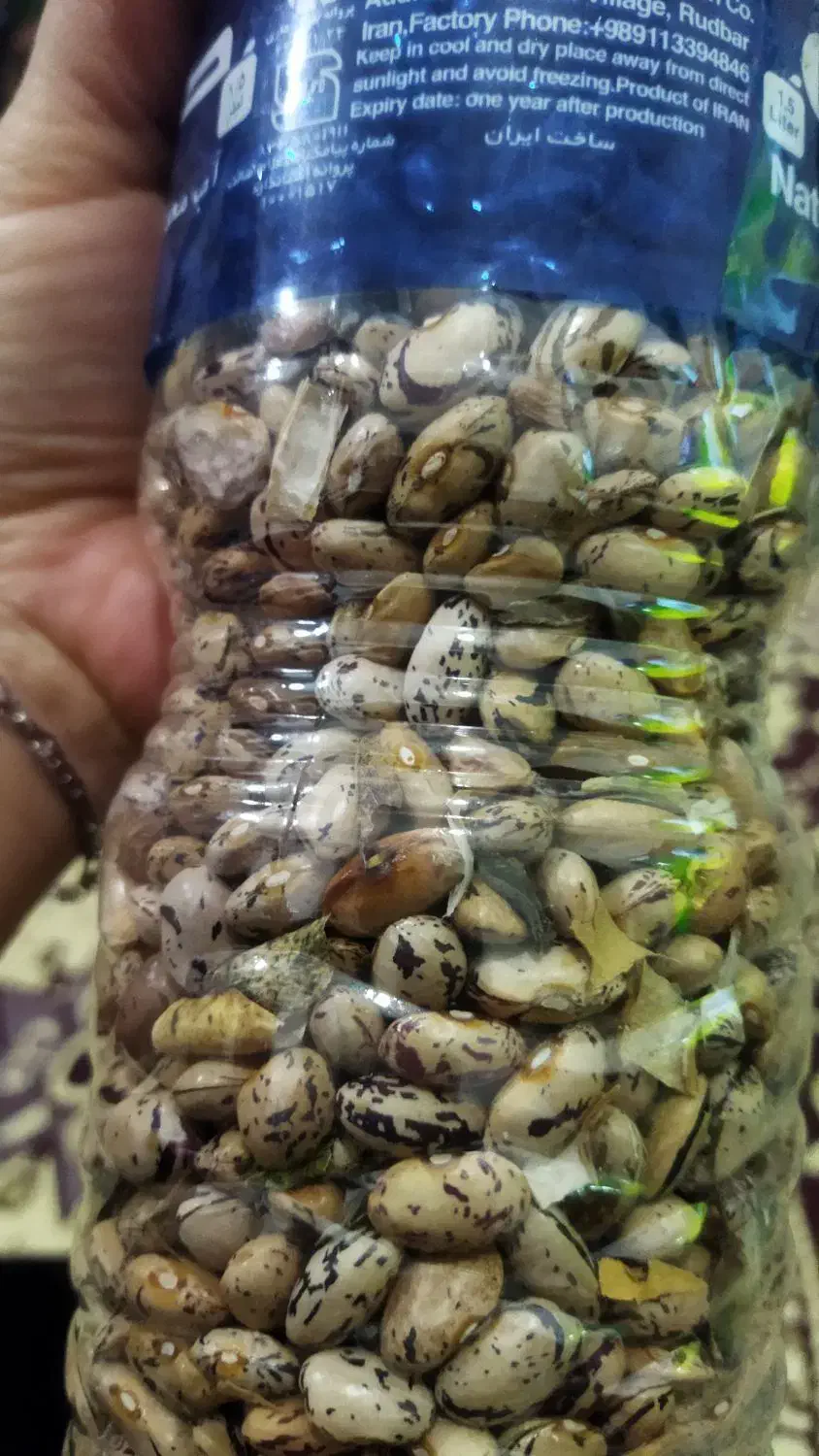 لوبیا محلی|خوردنی و آشامیدنی|رشت, گلزاران|دیوار