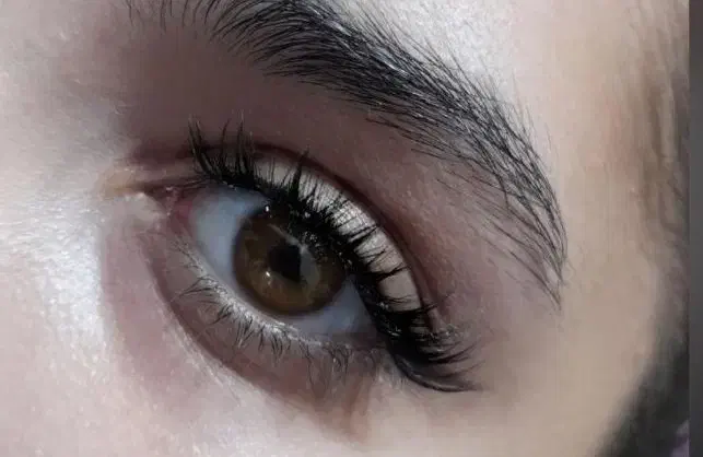 کاشت مژه هیدن|خدمات آرایشگری و زیبایی|اشکذر, |دیوار