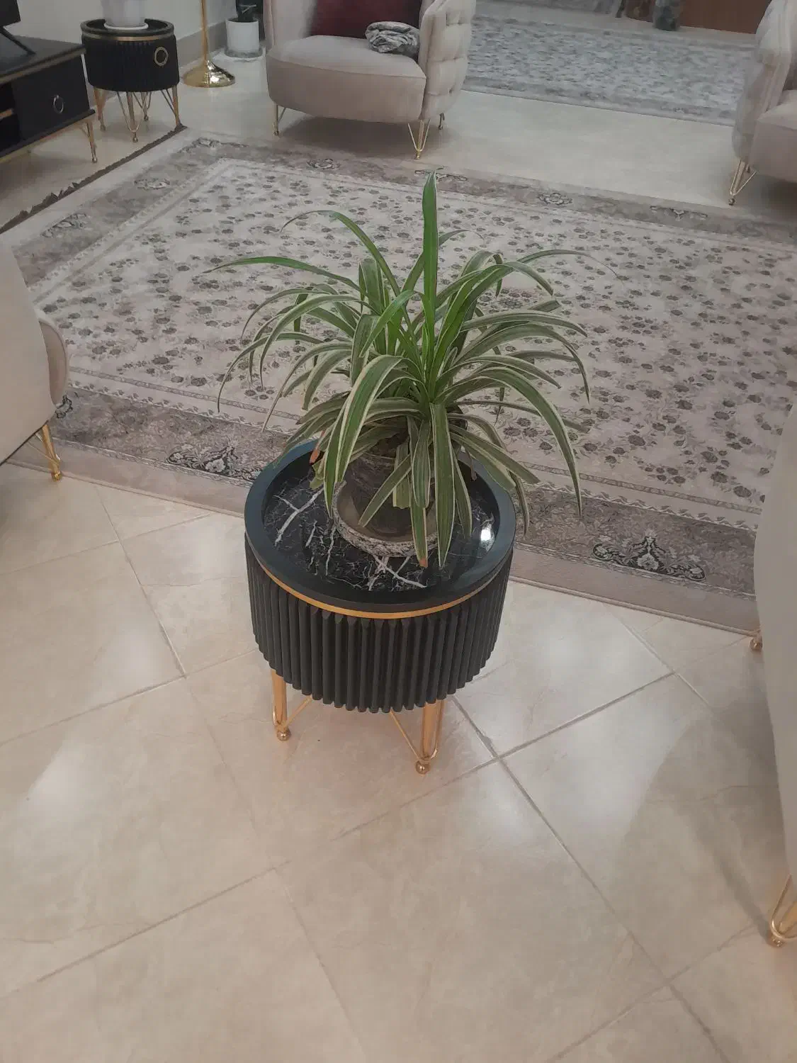 باغبانی پاکسازی باغچه علف زنی تعویض گلدان|خدمات باغبانی و درختکاری|قم, زینبیه|دیوار