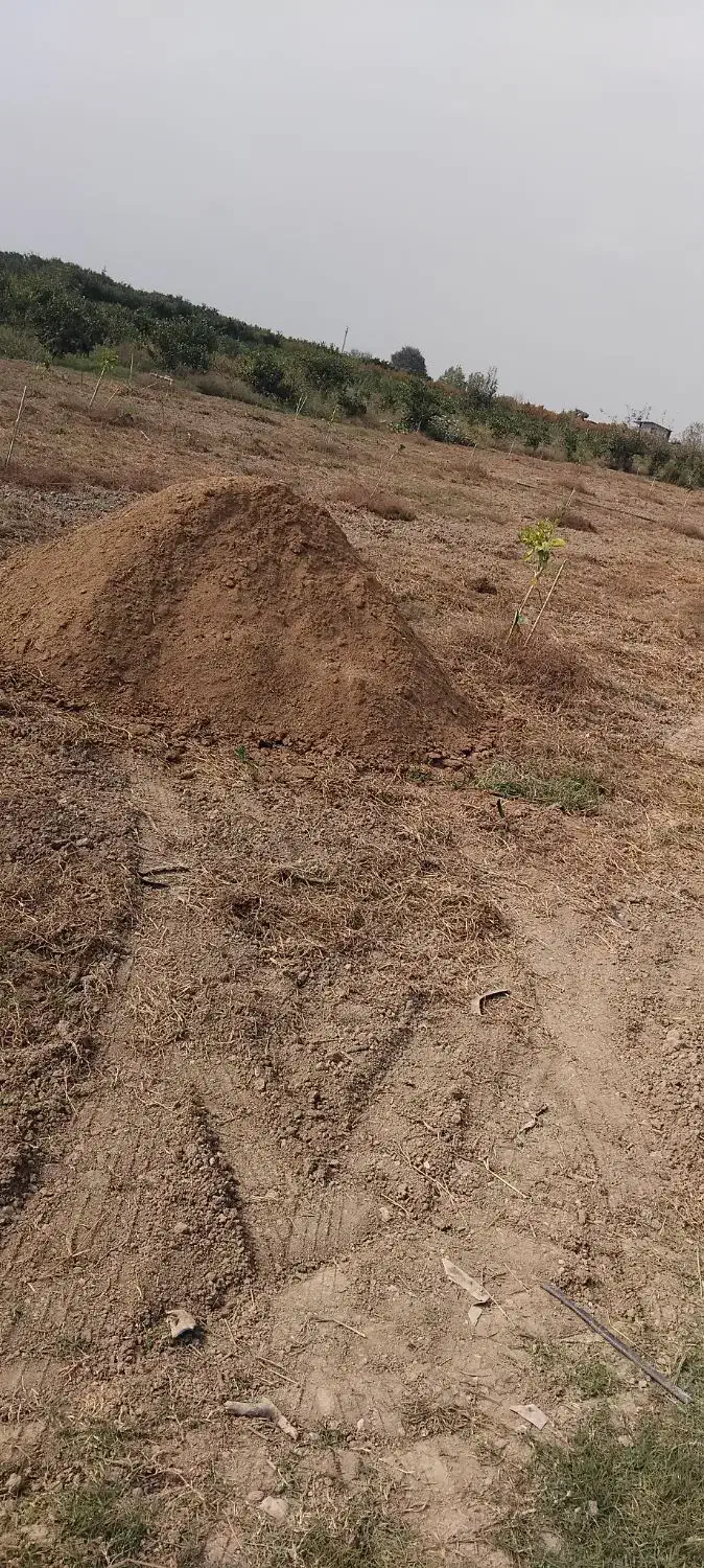 کود حیوانی، گوسفندی و گاوی تمیز|خدمات باغبانی و درختکاری|سورک, |دیوار