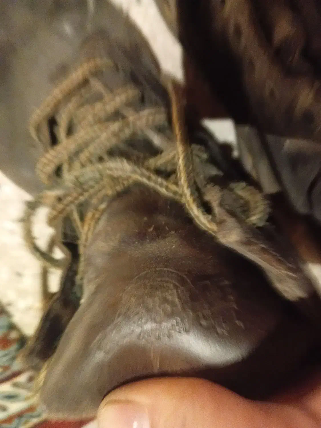 لوازم منزل|سایر لوازم برقی|بومهن, |دیوار