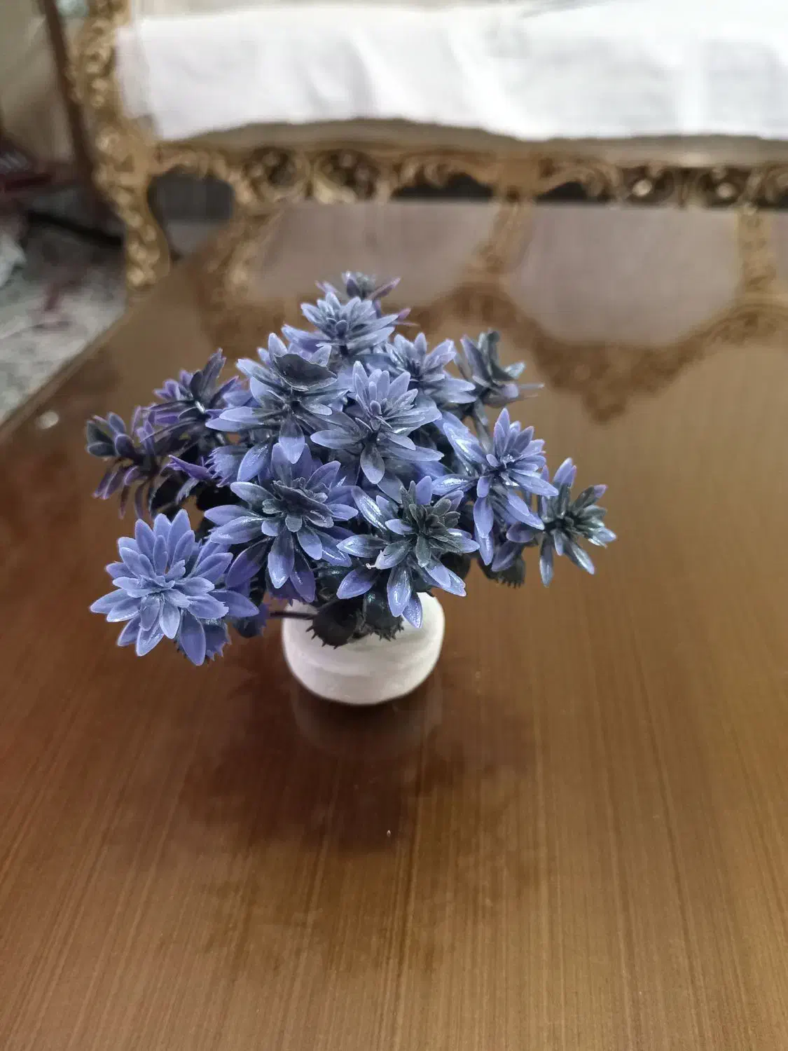 گیاه آکواریومی|ماهی|مشکیندشت, |دیوار