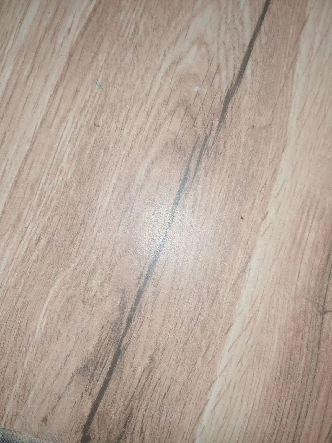 انبار برای سیب زمینی تلوار|اجارهٔ دفتر صنعتی، کشاورزی، تجاری|دهگلان, |دیوار