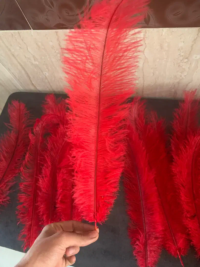 پر قرمز ۴۰و۵۰سانتی|لوازم خیاطی و بافتنی|شیروان (خراسان), |دیوار