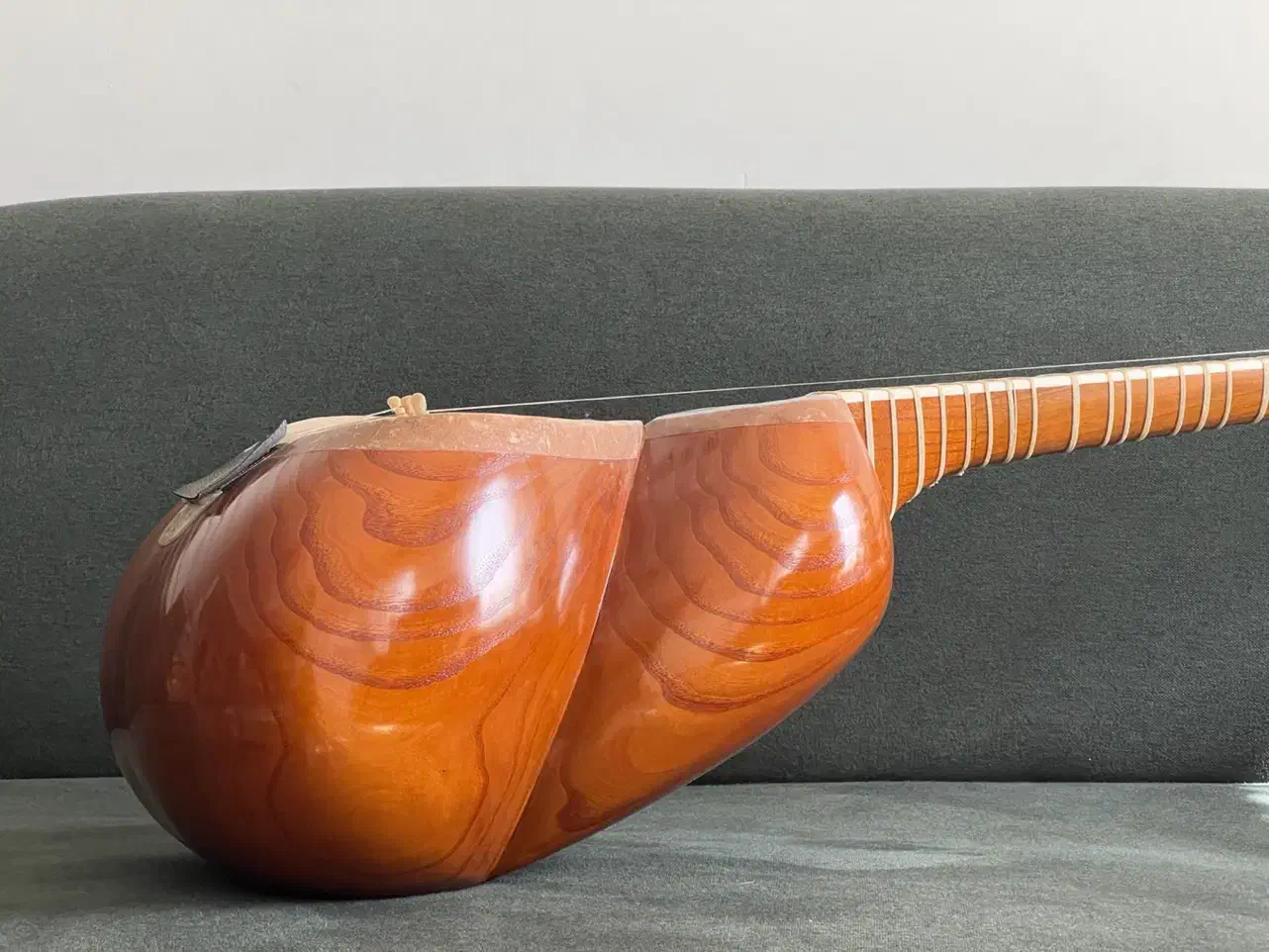 تار جلیل صالحی|سازهای سنتی|تهران, بهار|دیوار