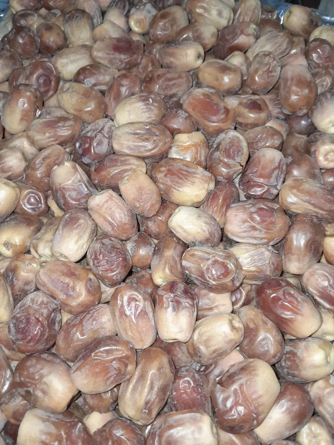 خرمایه زاهدی|خوردنی و آشامیدنی|افزر, |دیوار