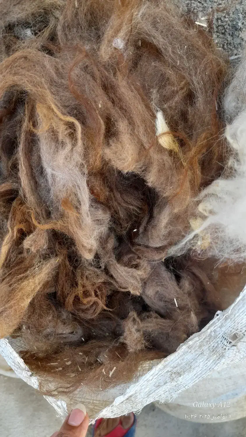 پشم گوسفندی|رختخواب، بالش، پتو|اسدآباد, |دیوار