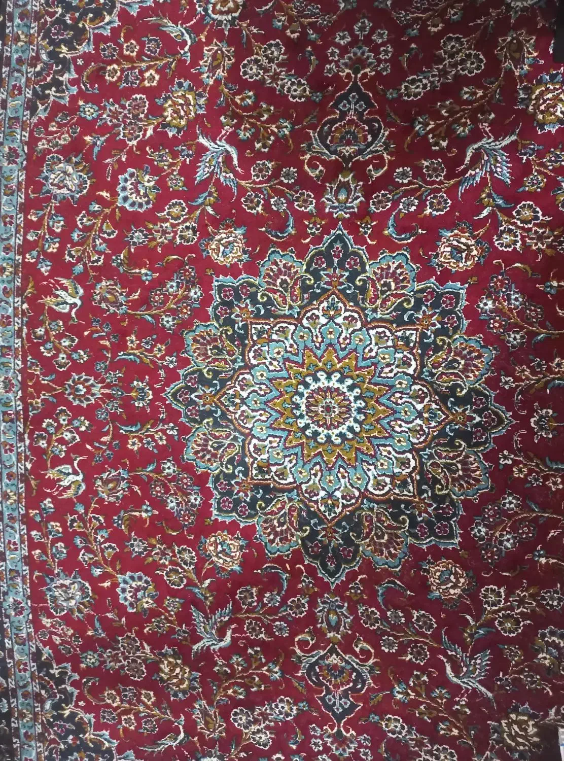 فرش شش متری|فرش|بندرعباس, |دیوار