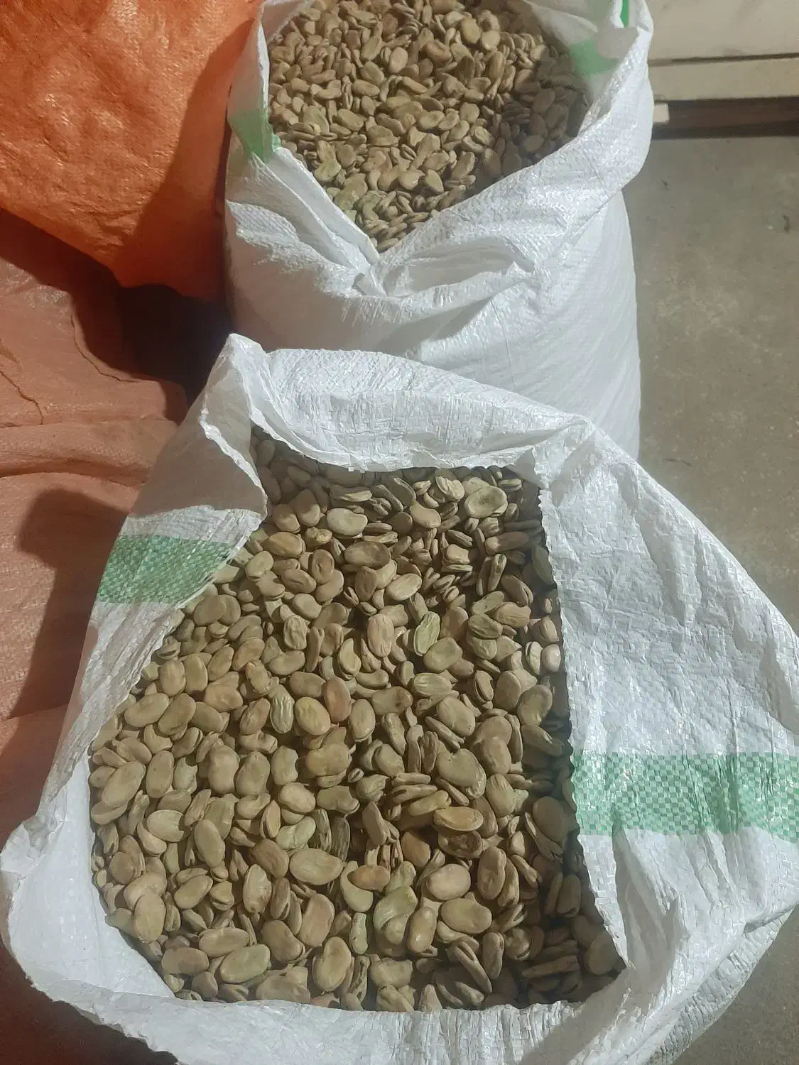 باقلا درجه یک بذری  پخت عالی|عمده‌فروشی|بهشهر, |دیوار