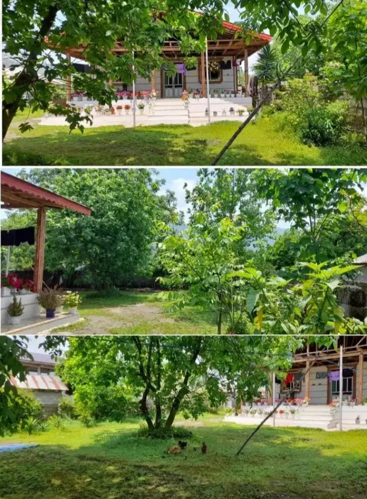 ویلا در دل طبیعت آماده برای رزرو امشب خالی|اجارهٔ کوتاهمدت ویلا و باغ|ماسال, |دیوار