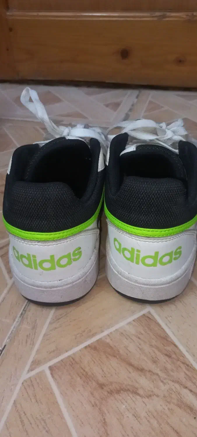 کتونی آدیداس اورجینال اصلی|کیف، کفش، کمربند|لاهیجان, قیام|دیوار