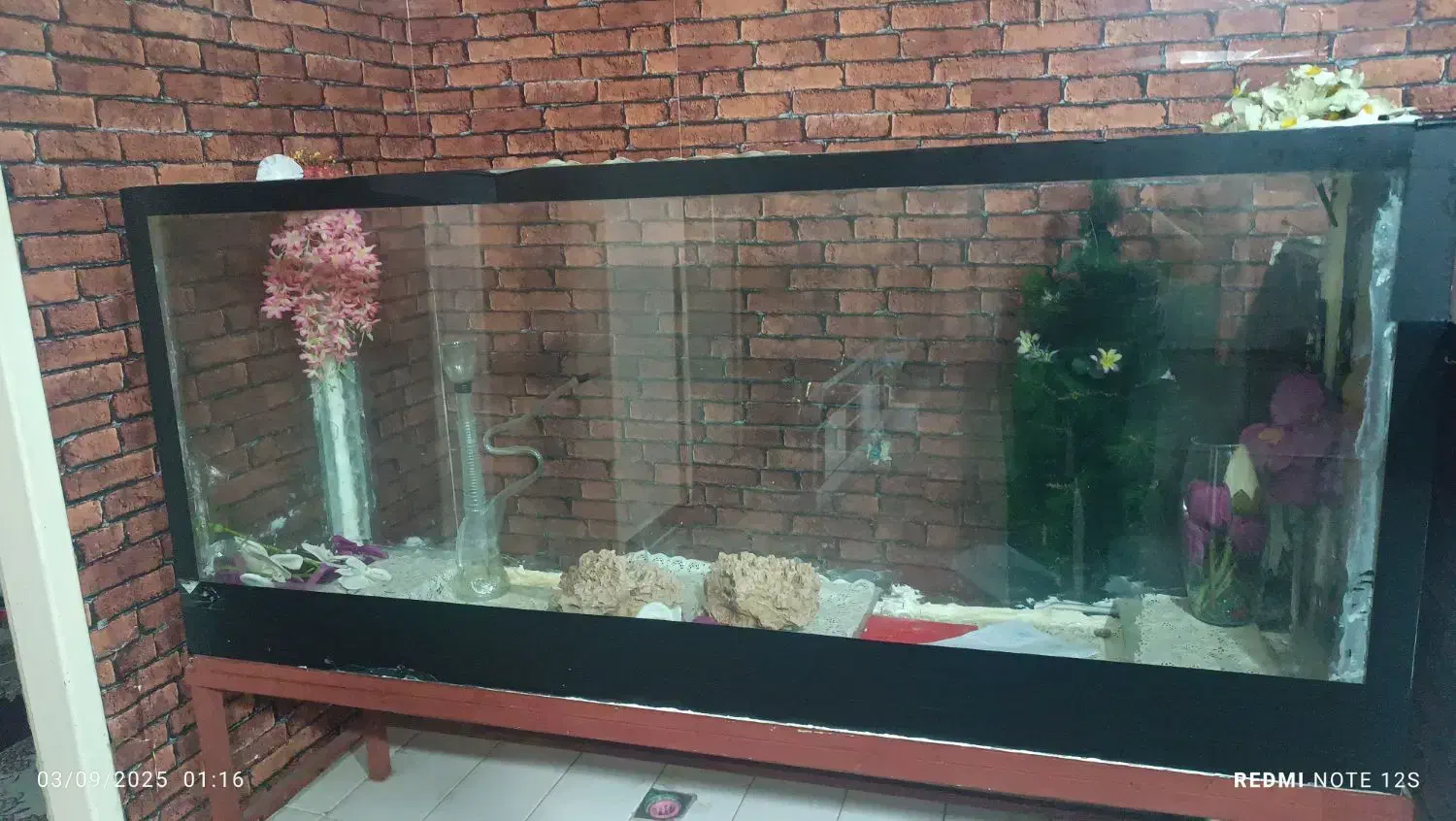 آکواریوم شیشه|ماهی|بروجرد, |دیوار