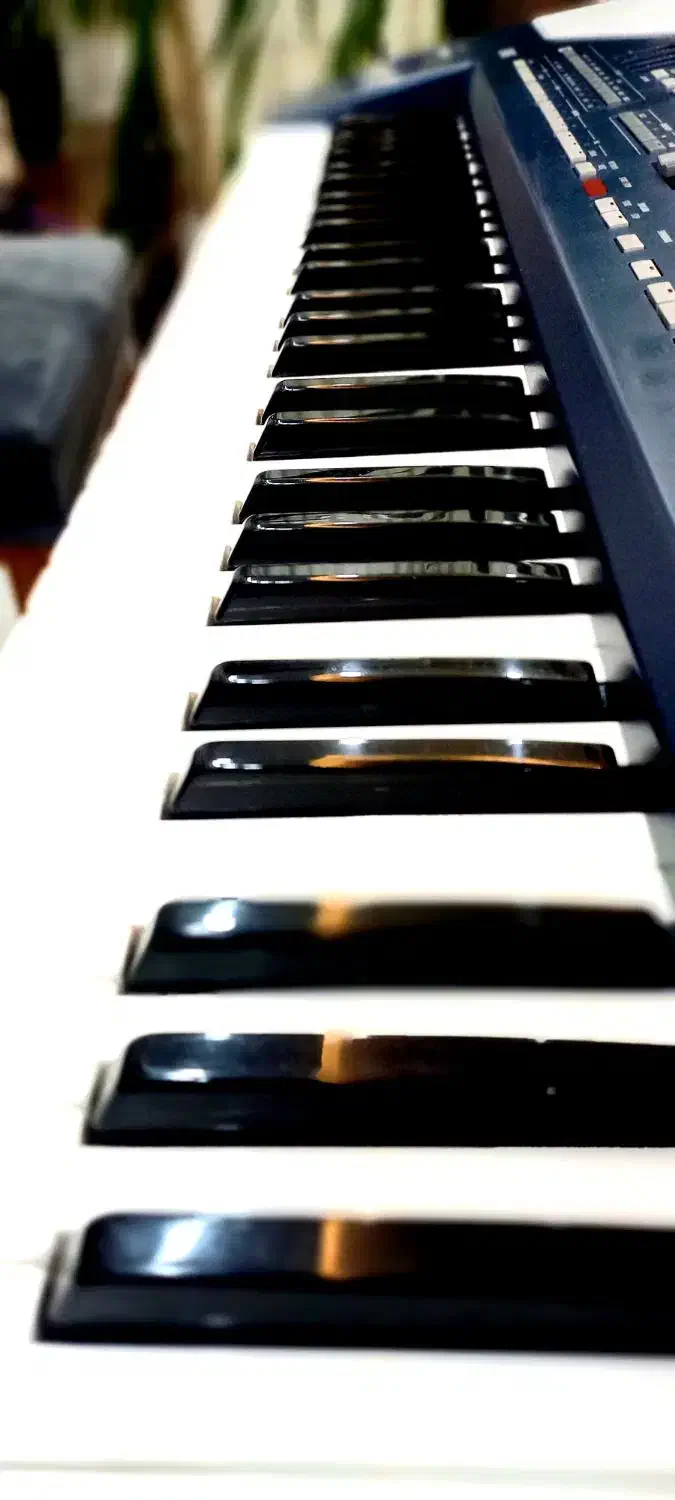 کورگ pa 800|پیانو، کیبورد، آکاردئون|مشهد, جاهد شهر|دیوار