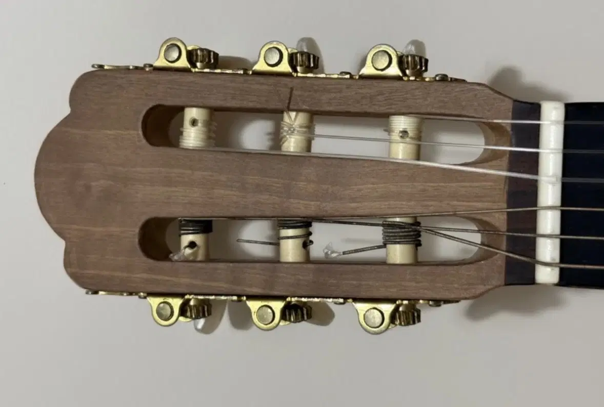 TARMONIC Guitar A 160گیتار|گیتار، بیس، امپلیفایر|تهران, شهرک ولیعصر شمالی|دیوار