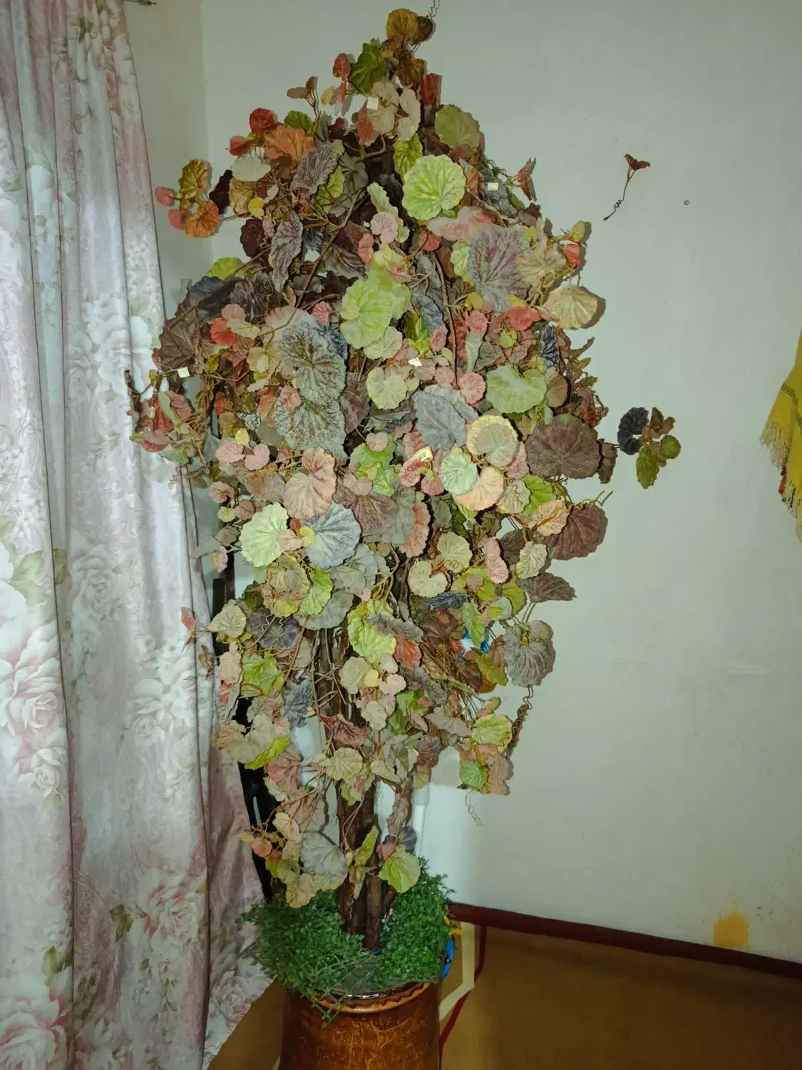 درختچه یک ونیم متری پاییزی سالم|گل مصنوعی|چابهار, |دیوار