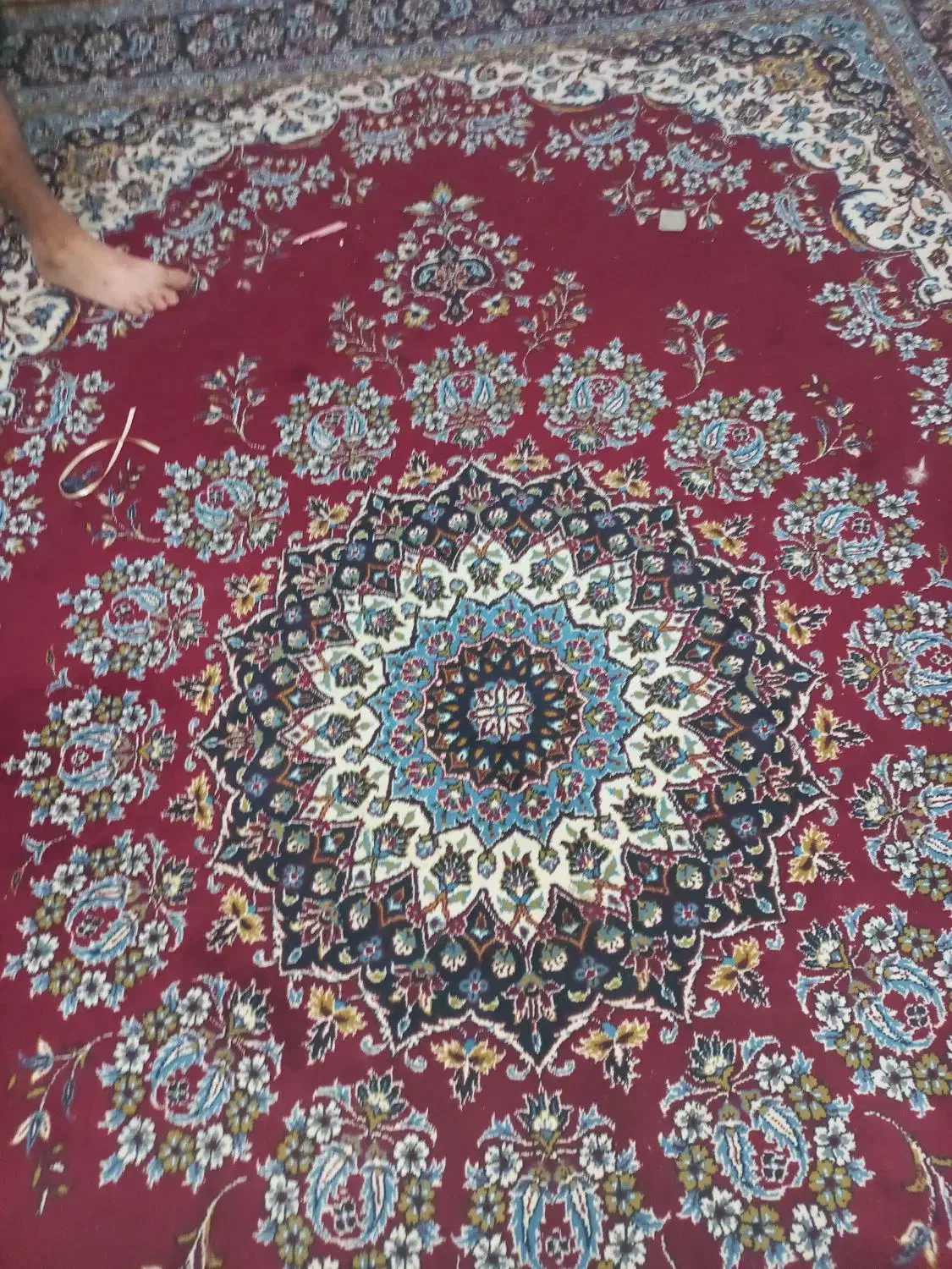 فرش نه متری زمینه لاکی|فرش|سبزوار, قلعه‌نو دهزار|دیوار