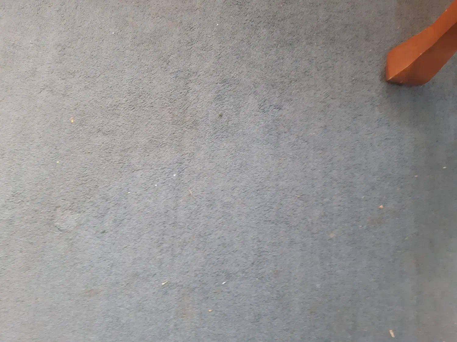 فرش فانتزی|فرش|رشت, سعدی (تختی)|دیوار