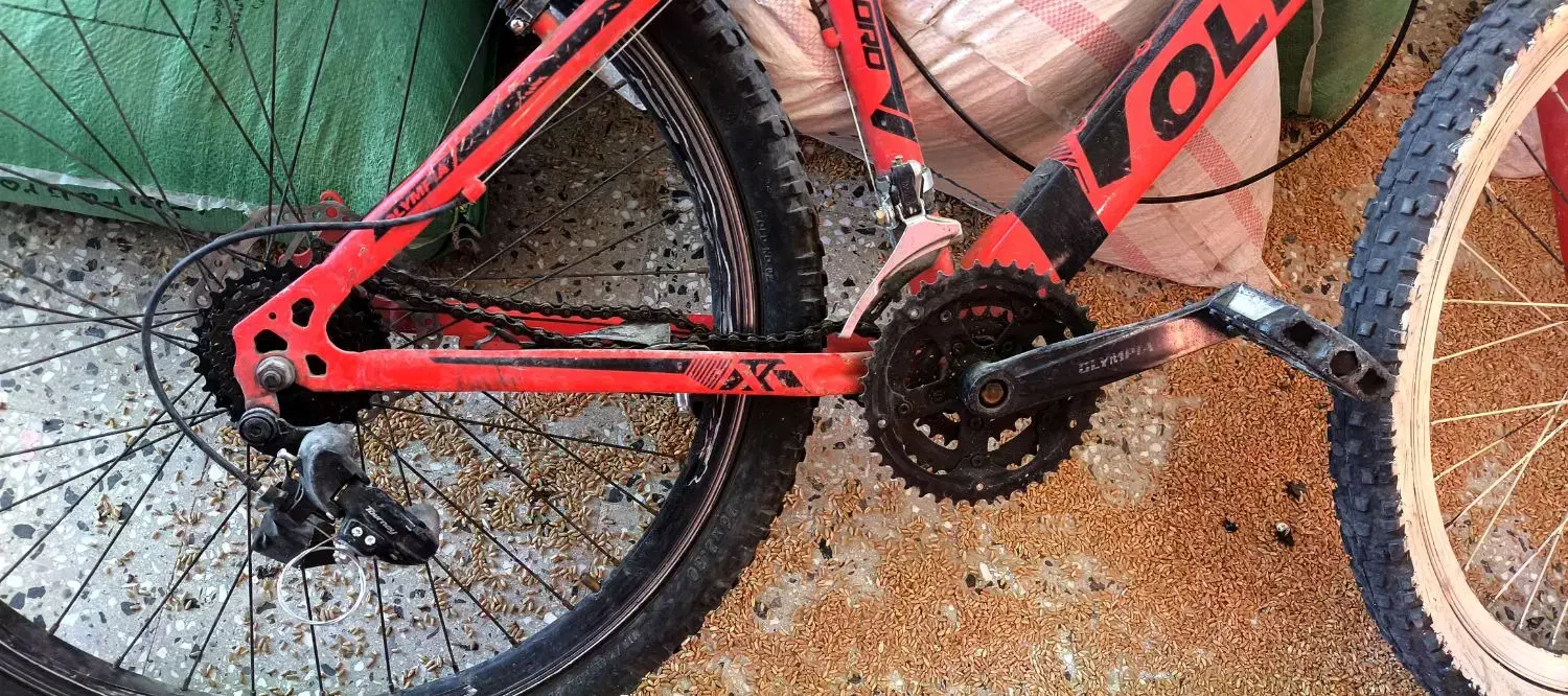 دوچرخه|دوچرخه، اسکیت، اسکوتر|آبدانان, |دیوار