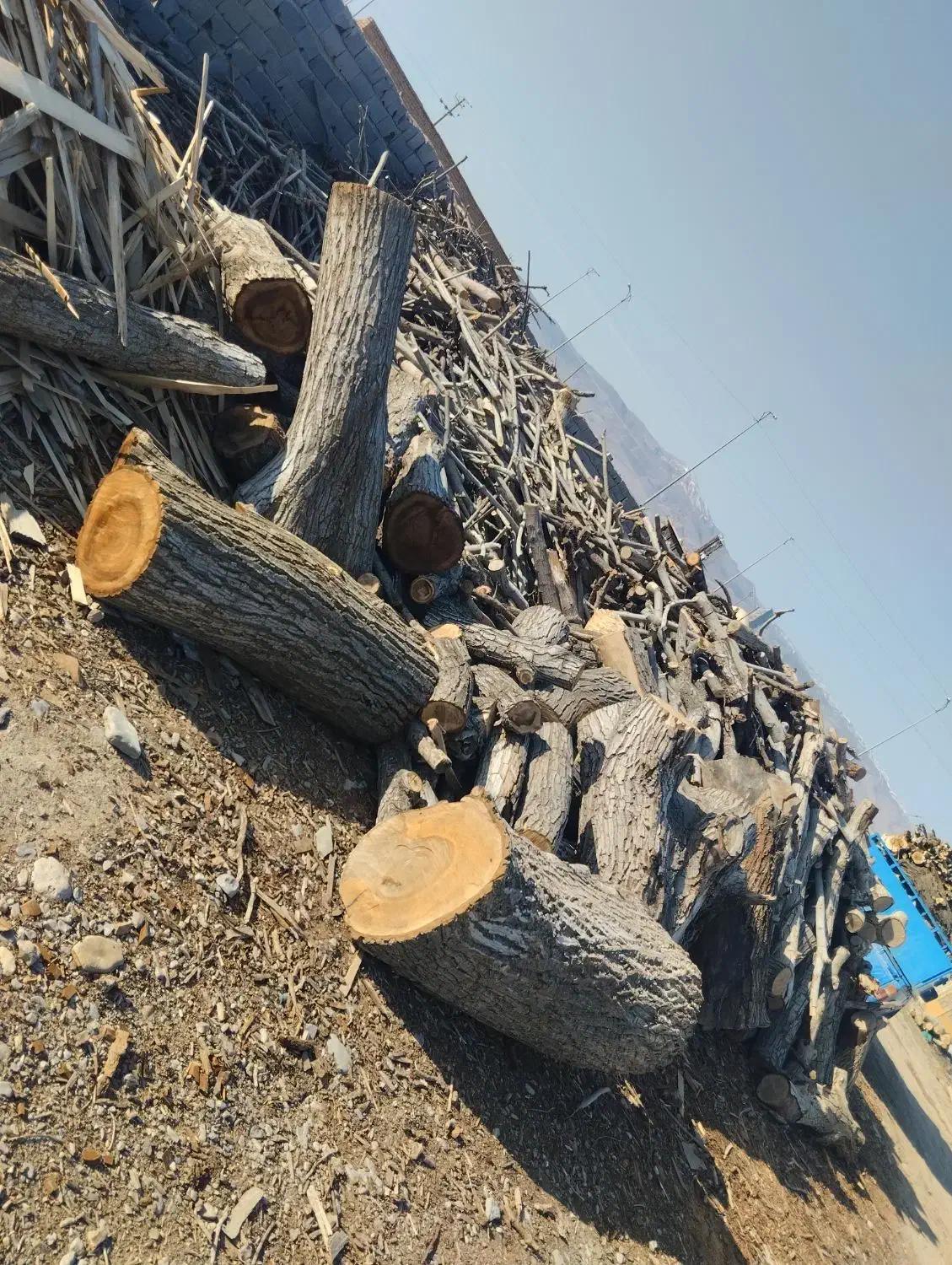 خرید انواع چوب|خدمات پیشه و مهارت|قوچان, |دیوار