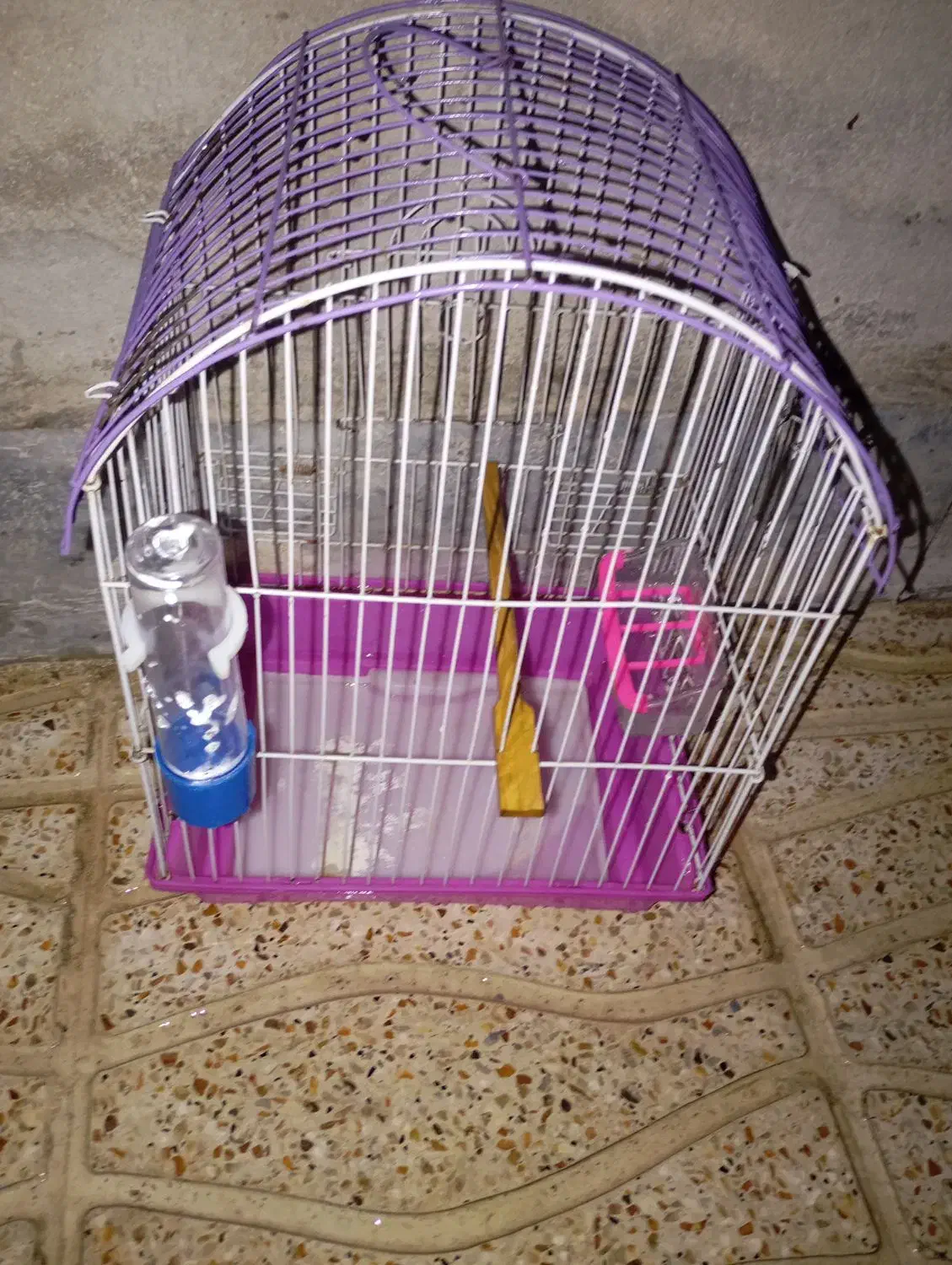 قفس بدون پرنده|لوازم جانبی حیوانات|بهارستان, |دیوار