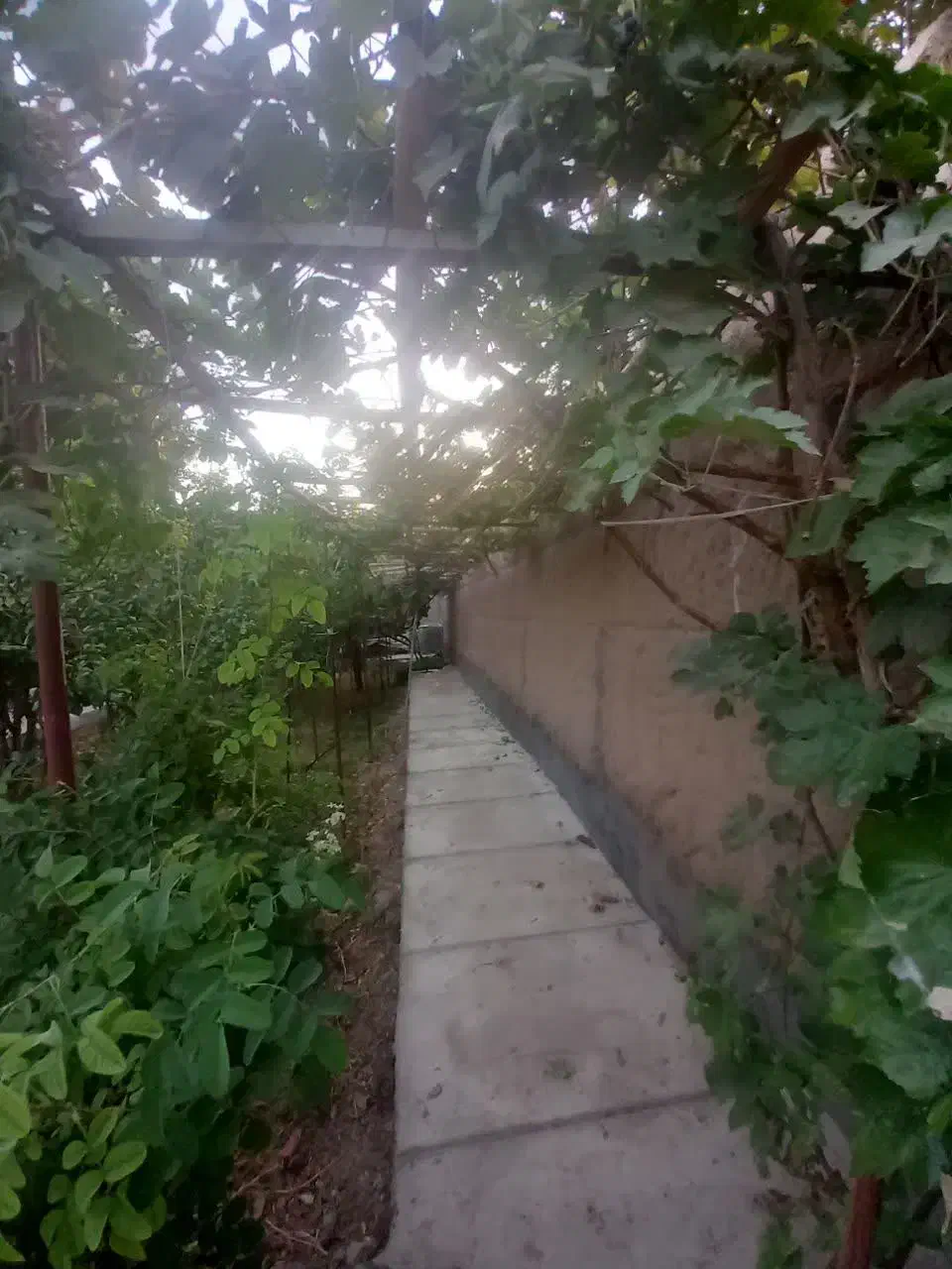 باغ خوش آب وهوا کوچه روبروی کباب شهریار(کمال آباد)|فروش خانه و ویلا|مهریز, |دیوار