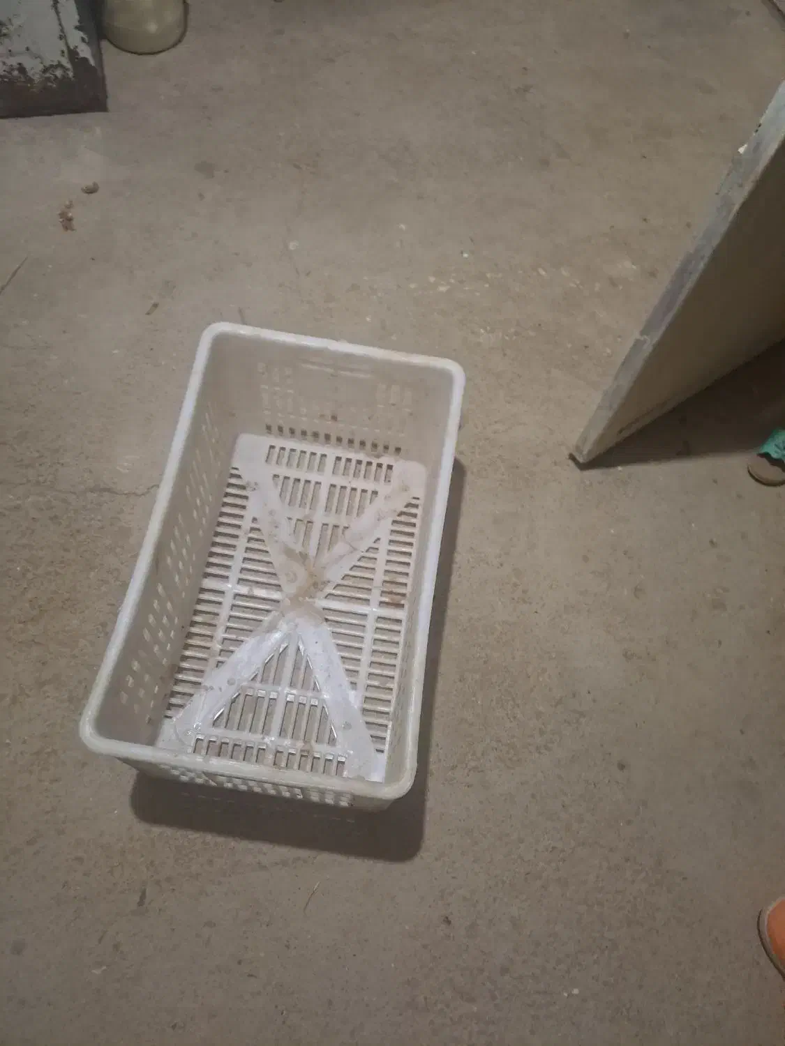 سبد گوجه فرنگی مواد اول|عمدهفروشی|قیدار, |دیوار