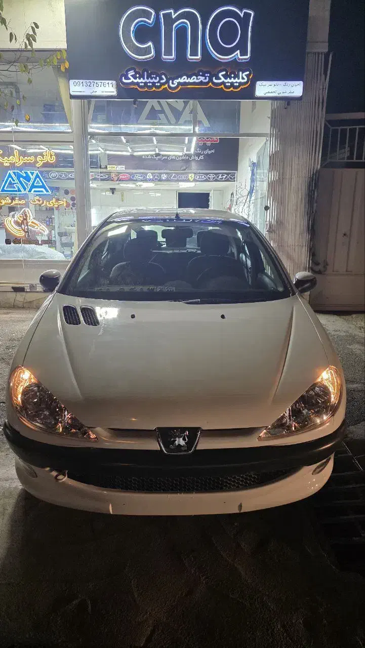 206 tu5|خودرو سواری و وانت|شهرضا, |دیوار