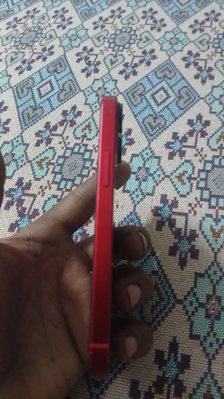 ایفون ۱۳مینی|موبایل|مشهد, یاس|دیوار