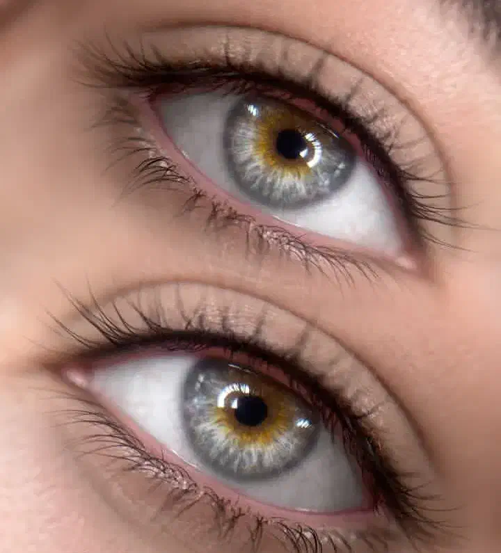 مدل شیدینگ و تینت لب|خدمات آرایشگری و زیبایی|ساری, |دیوار