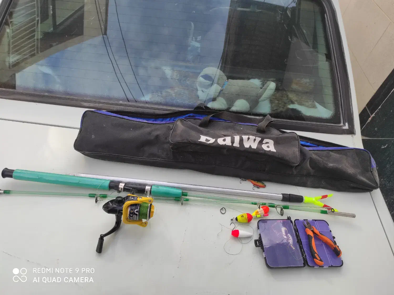 لنسر ماهی گیری|ماهیگیری|مریوان, |دیوار