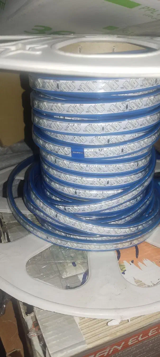 ریسه شلنگی|ریسه و چراغ تزئینی|اراک, |دیوار