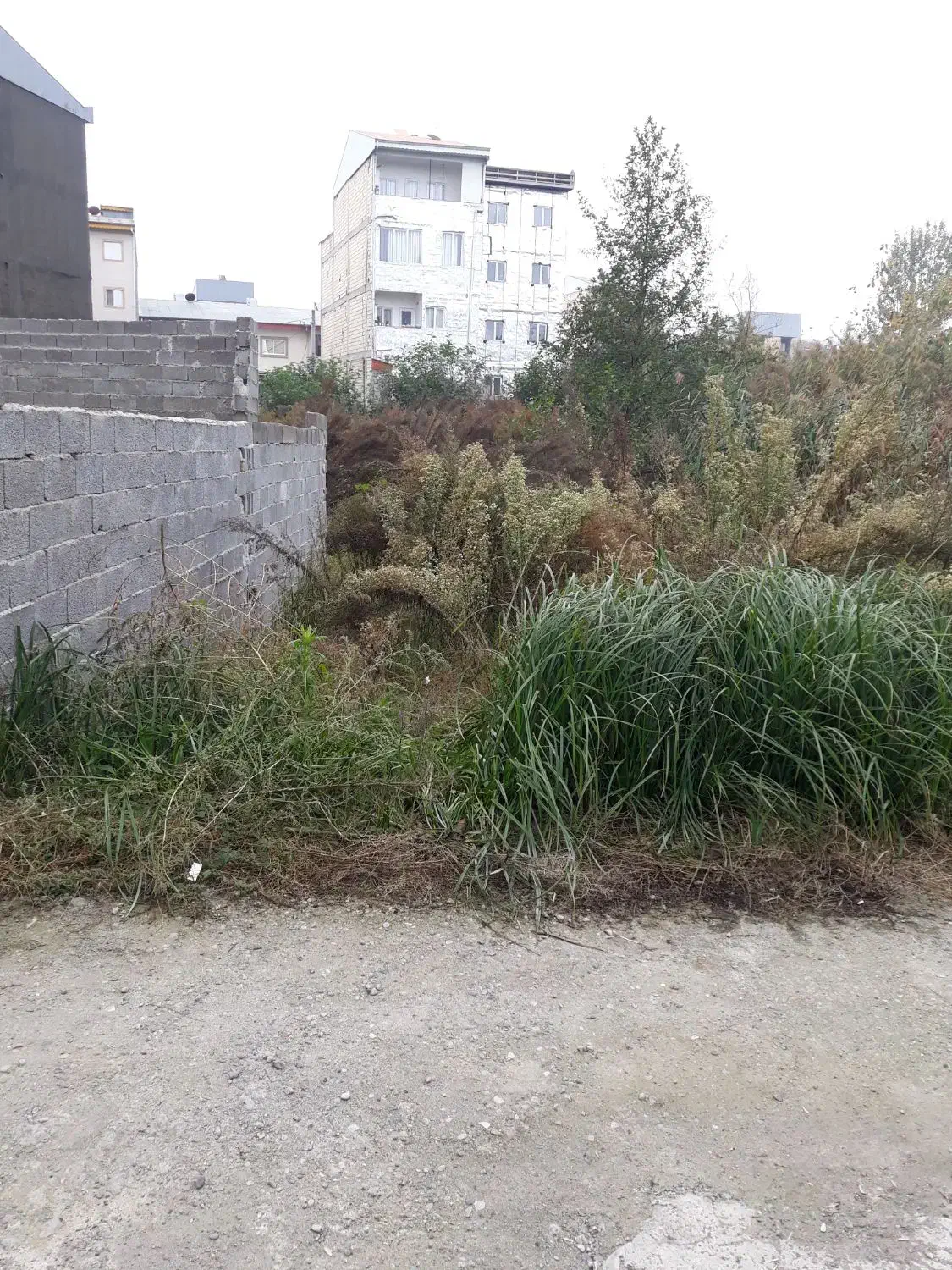 زمین حمیدیان جمهوری اول|فروش زمین و ملک کلنگی|رشت, حمیدیان|دیوار