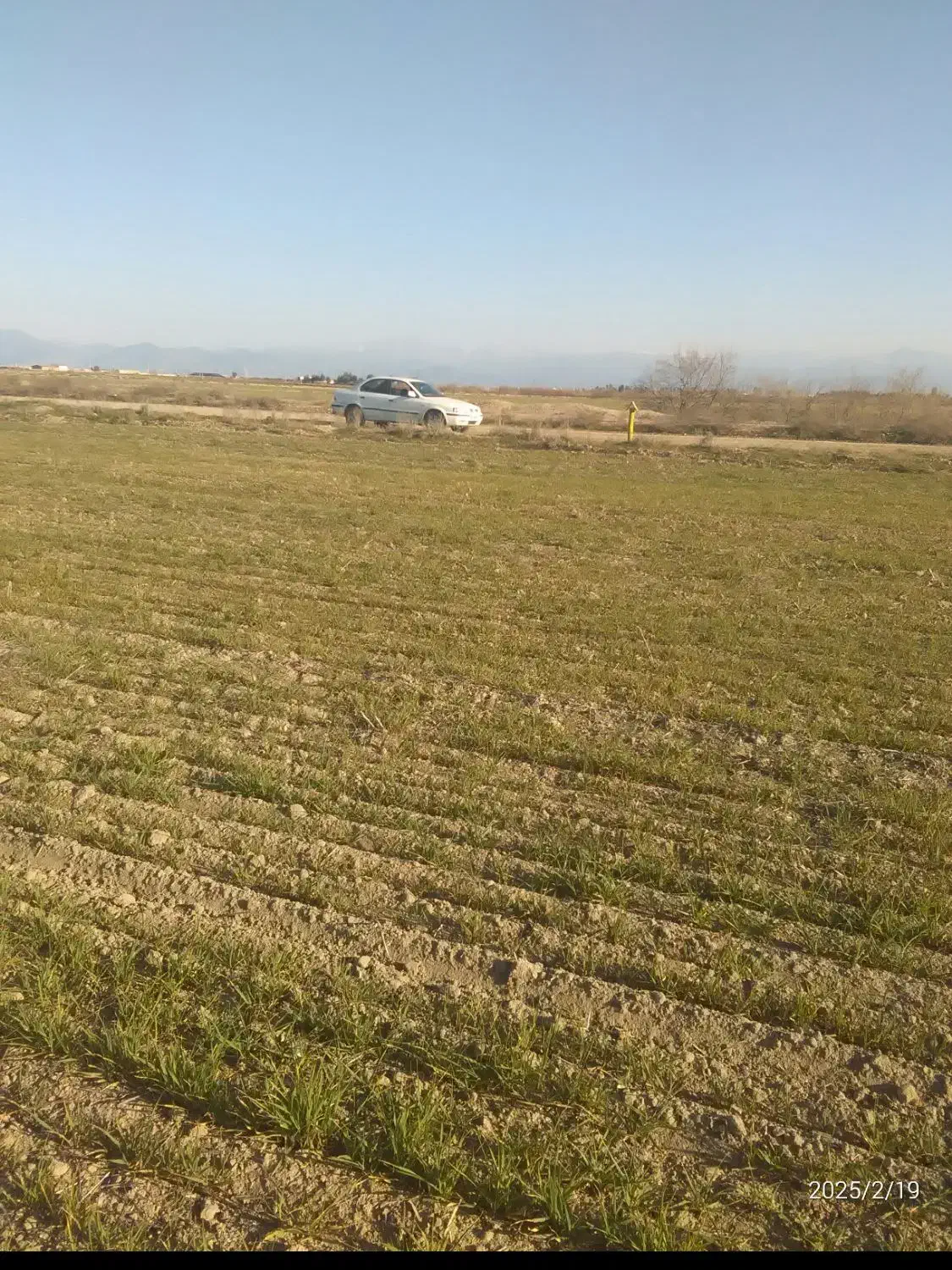 زمین کشاورزی ده هکتار مالبازار گنبد|اجارهٔ دفتر صنعتی، کشاورزی، تجاری|گنبد کاووس, |دیوار