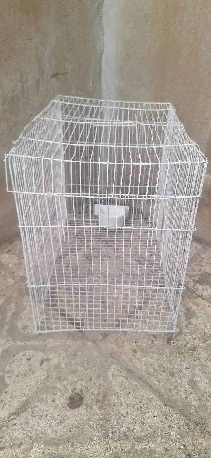 قفس|لوازم جانبی حیوانات|طبس, |دیوار