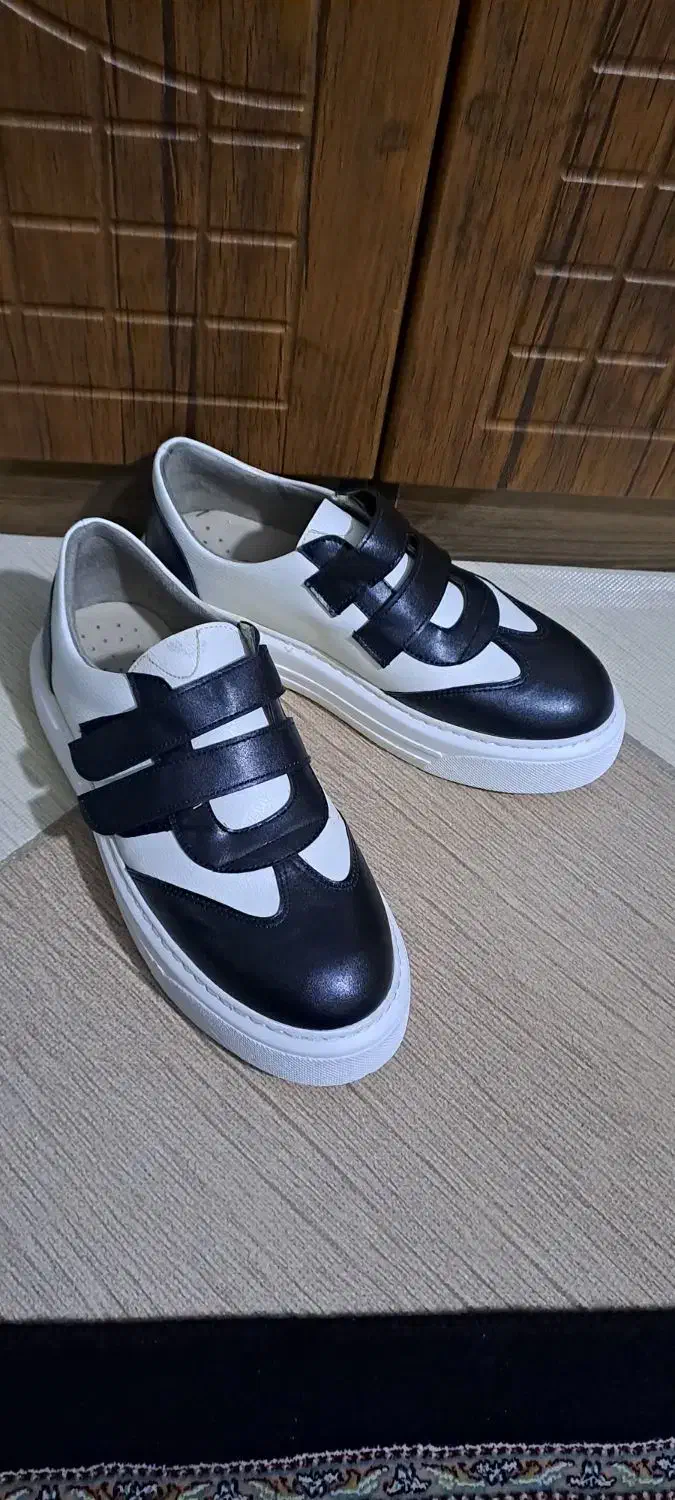 کفش مارک کال چرم نو نو|کیف، کفش، کمربند|اراک, |دیوار