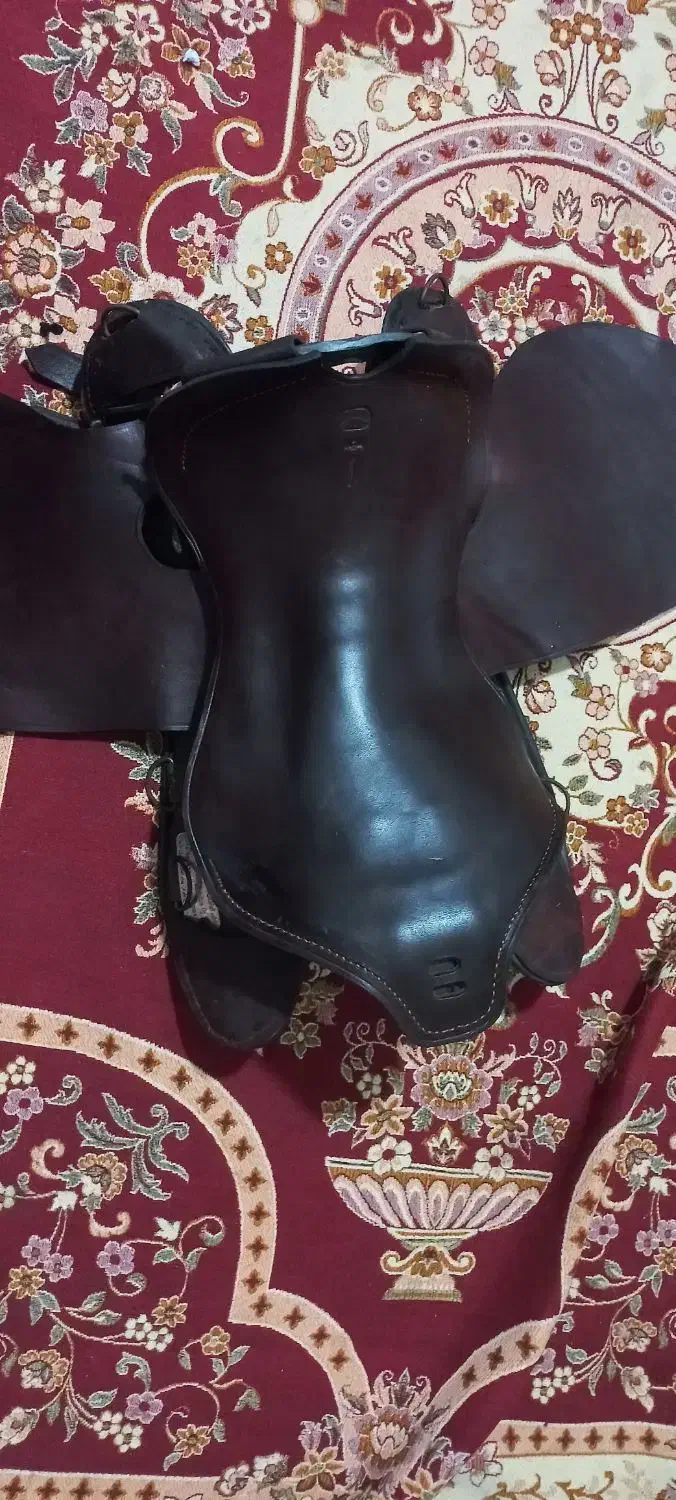 زین|اسب و تجهیزات اسب‌سواری|درگزین, |دیوار