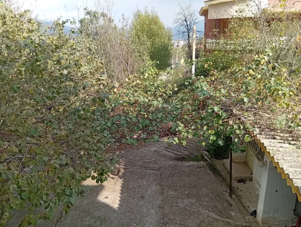 خانه ویلایی۱۷۵متری/گردنه حیران|فروش خانه و ویلا|آستارا, |دیوار