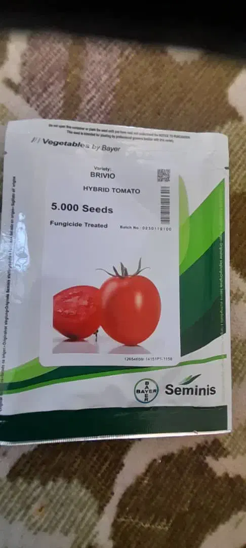 بذر گوجه بری ویو|خدمات باغبانی و درختکاری|نورآباد ممسنی, |دیوار