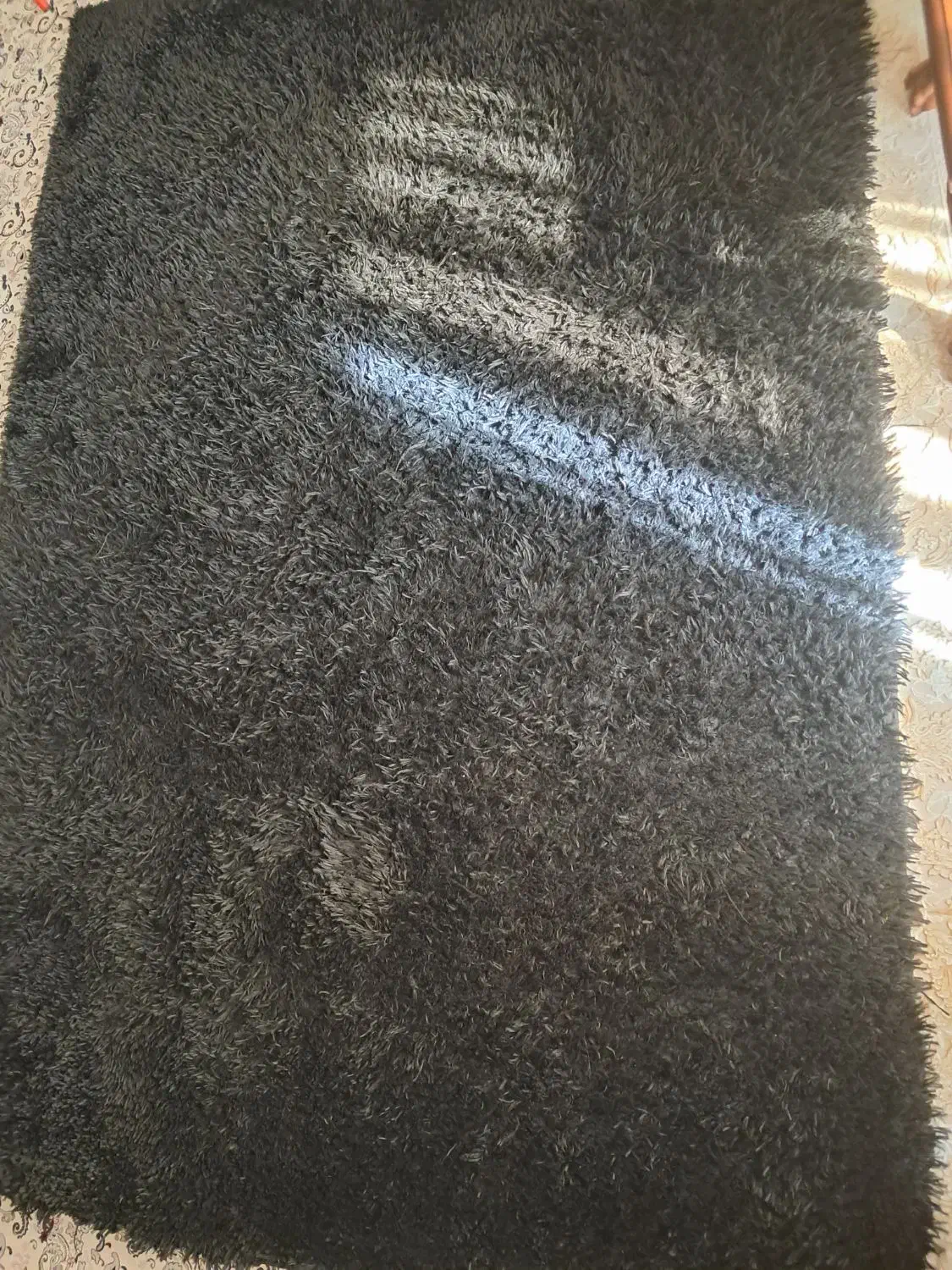 فرش یاقالیچه رنگ مشکی|فرش|قم, بنیاد|دیوار