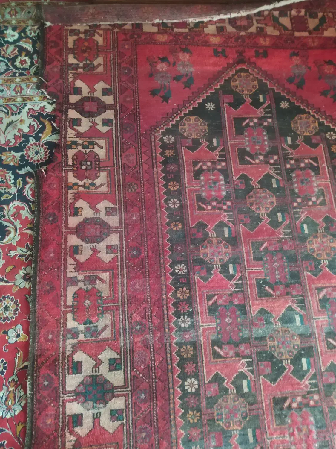 فرش دست بافت|فرش|فردیس, نسترن غربی|دیوار