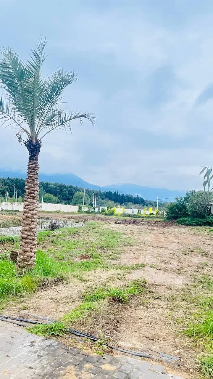 زمین ۶۰۰متری سنددار شهرک با اصالت سیسنگان|فروش زمین و ملک کلنگی|نوشهر, |دیوار