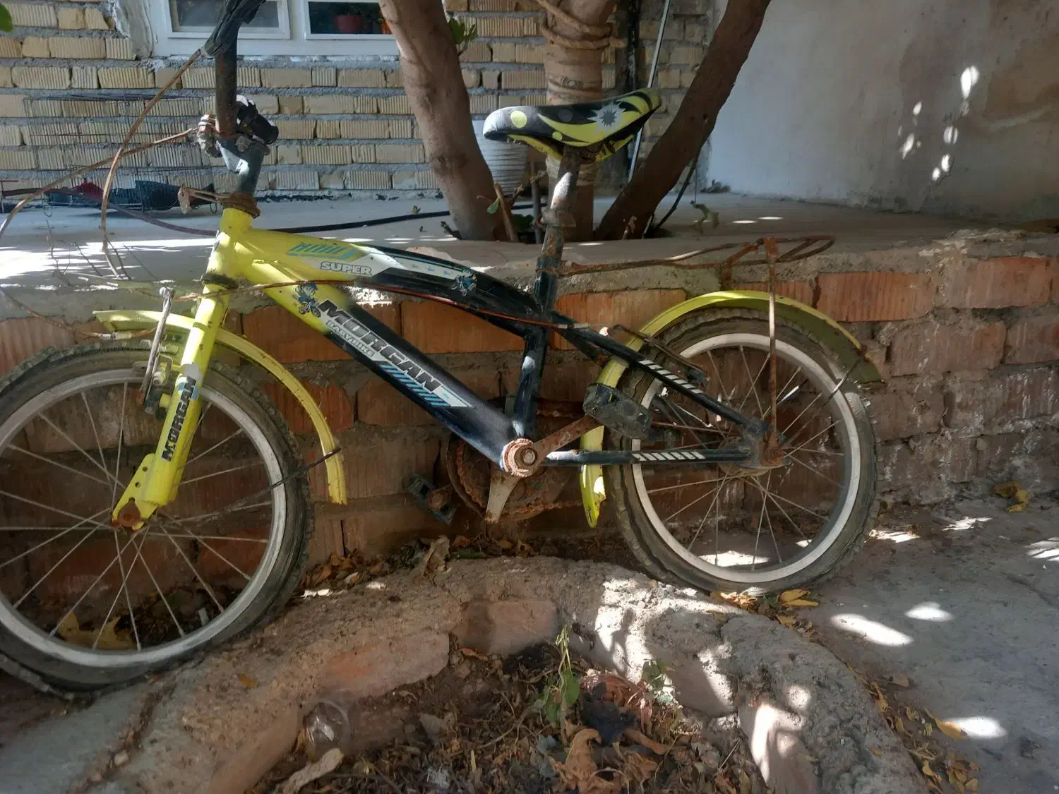 دوچرخه نیازمند تمییر|دوچرخه، اسکیت، اسکوتر|مرودشت, تخت جمشید|دیوار