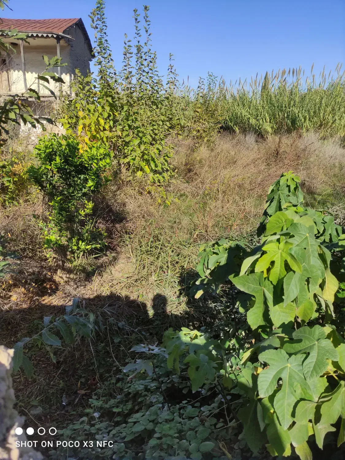 سیصد متر مربع زمین مسکونی درون بافت|فروش زمین و ملک کلنگی|مزرعه کتول, |دیوار