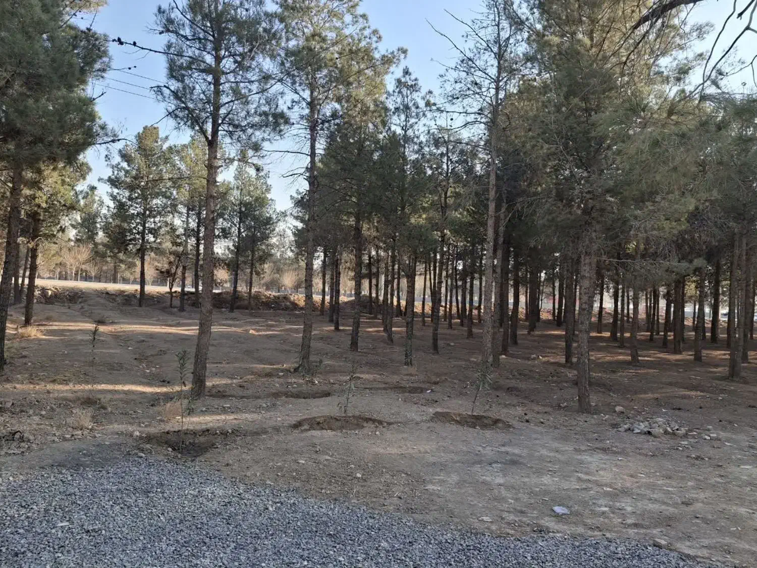 خانه باغ|فروش خانه و ویلا|اصفهان, قهجاورستان|دیوار