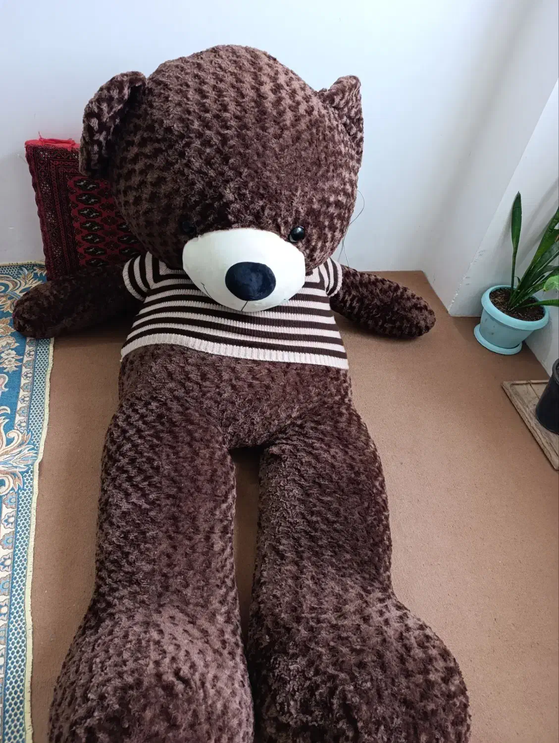 خرس|اسباب‌بازی بچه|بجنورد, |دیوار